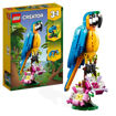 Picture of Lego 31136 Creator Exotic Parrot